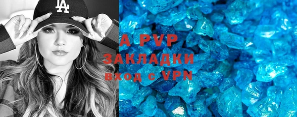 стаф Алексин