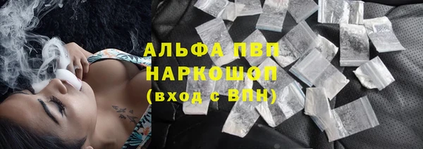 стаф Алексин
