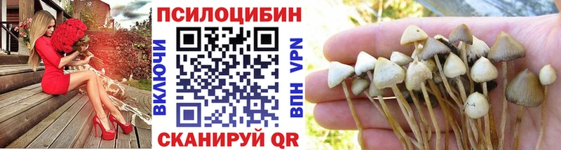 Галлюциногенные грибы MAGIC MUSHROOMS  хочу   Азов 